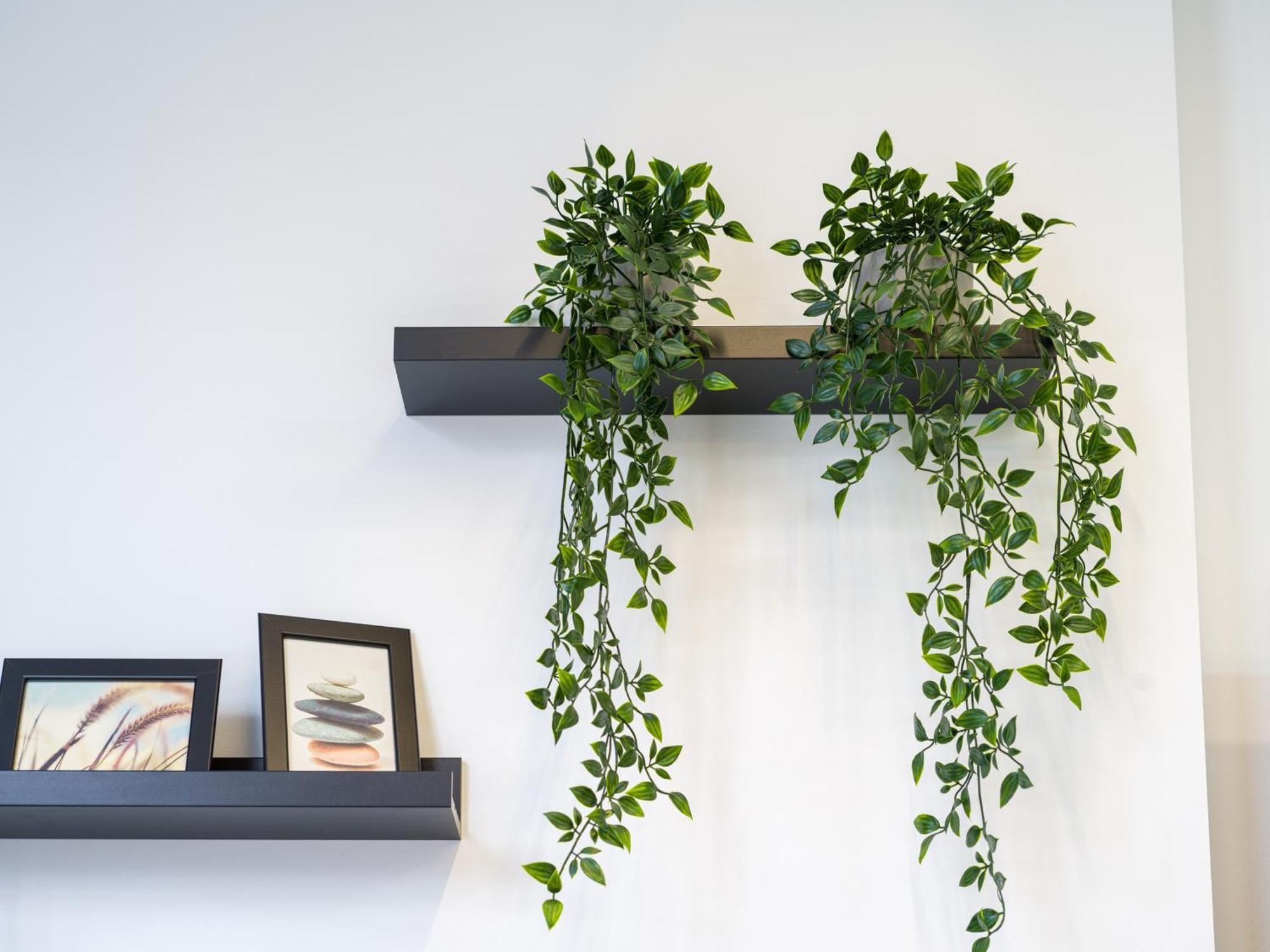 Apartamento Salitre By Canariasgetaway
